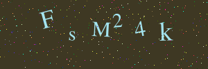 Validation image